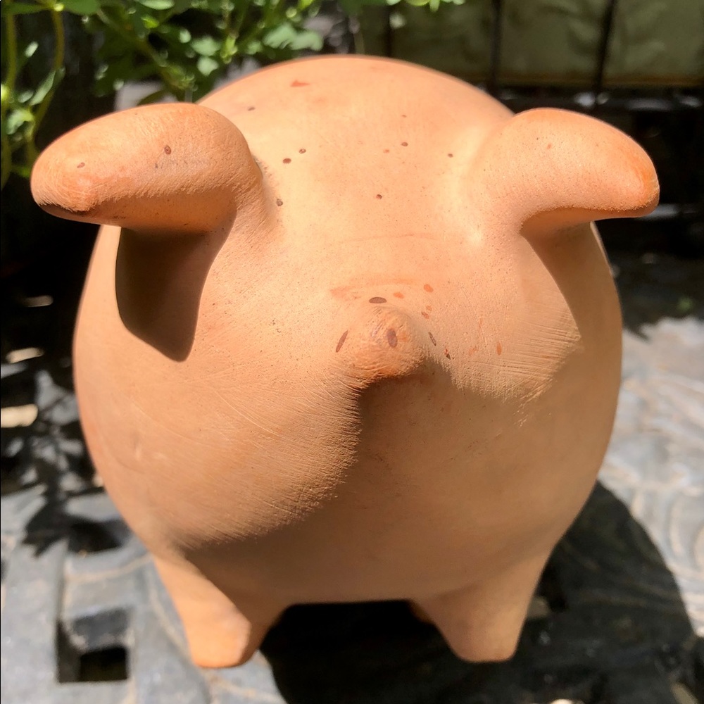 Piggy Planter